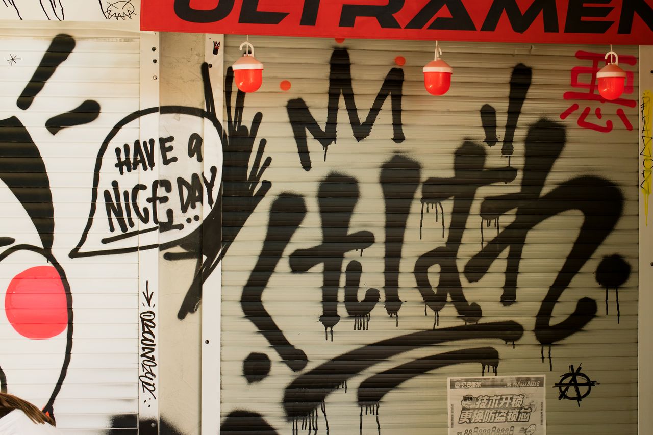 creative graffiti art on a street roll up door with text have a nice d