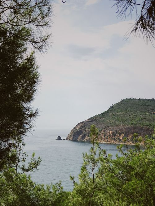 Free A tranquil coastal scene featuring a lush hillside and calm ocean waters viewed through trees. Stock Photo