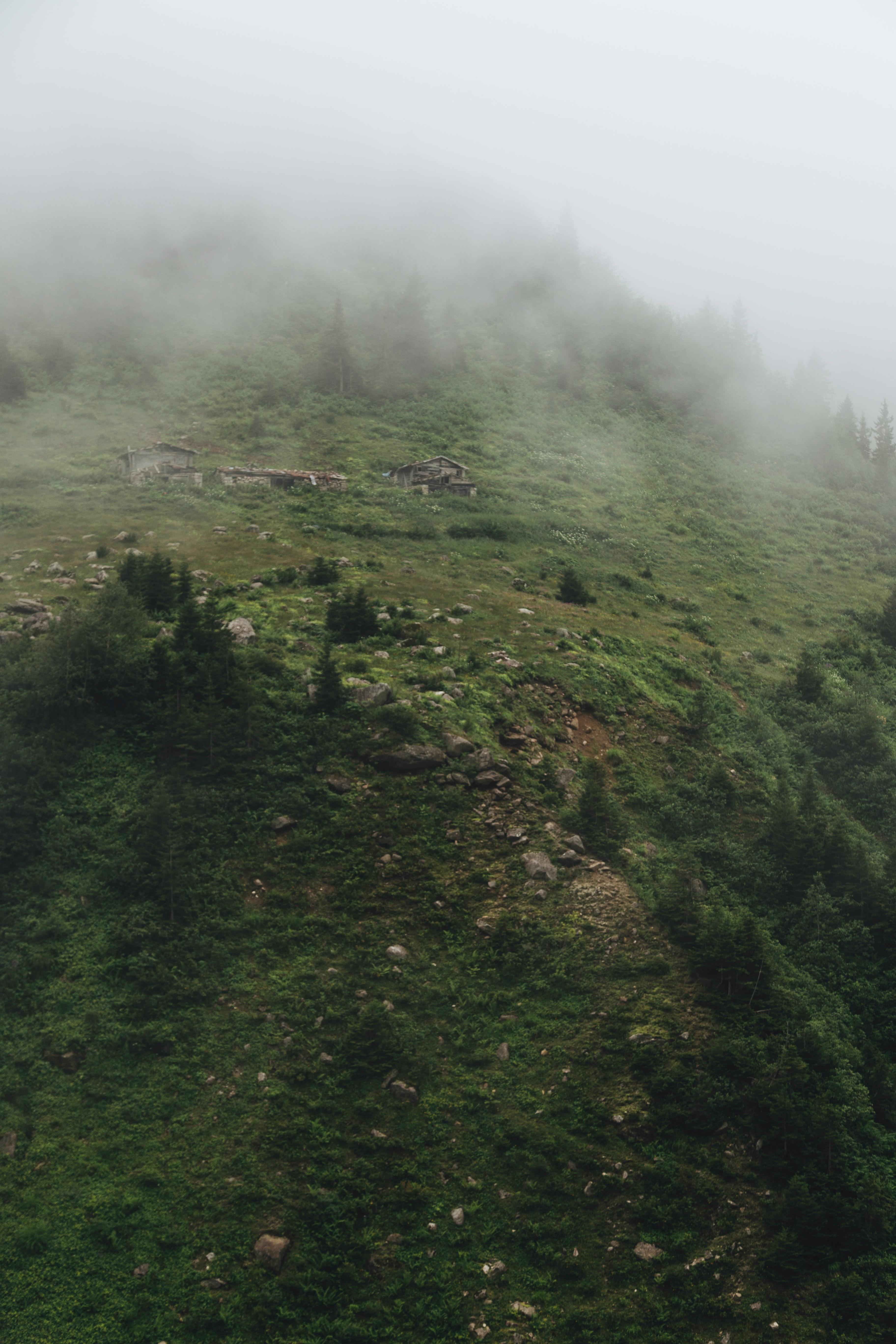 Misty mountain view with lush greenery and fog in Rize, Türkiye, capturing a serene natural landscape.