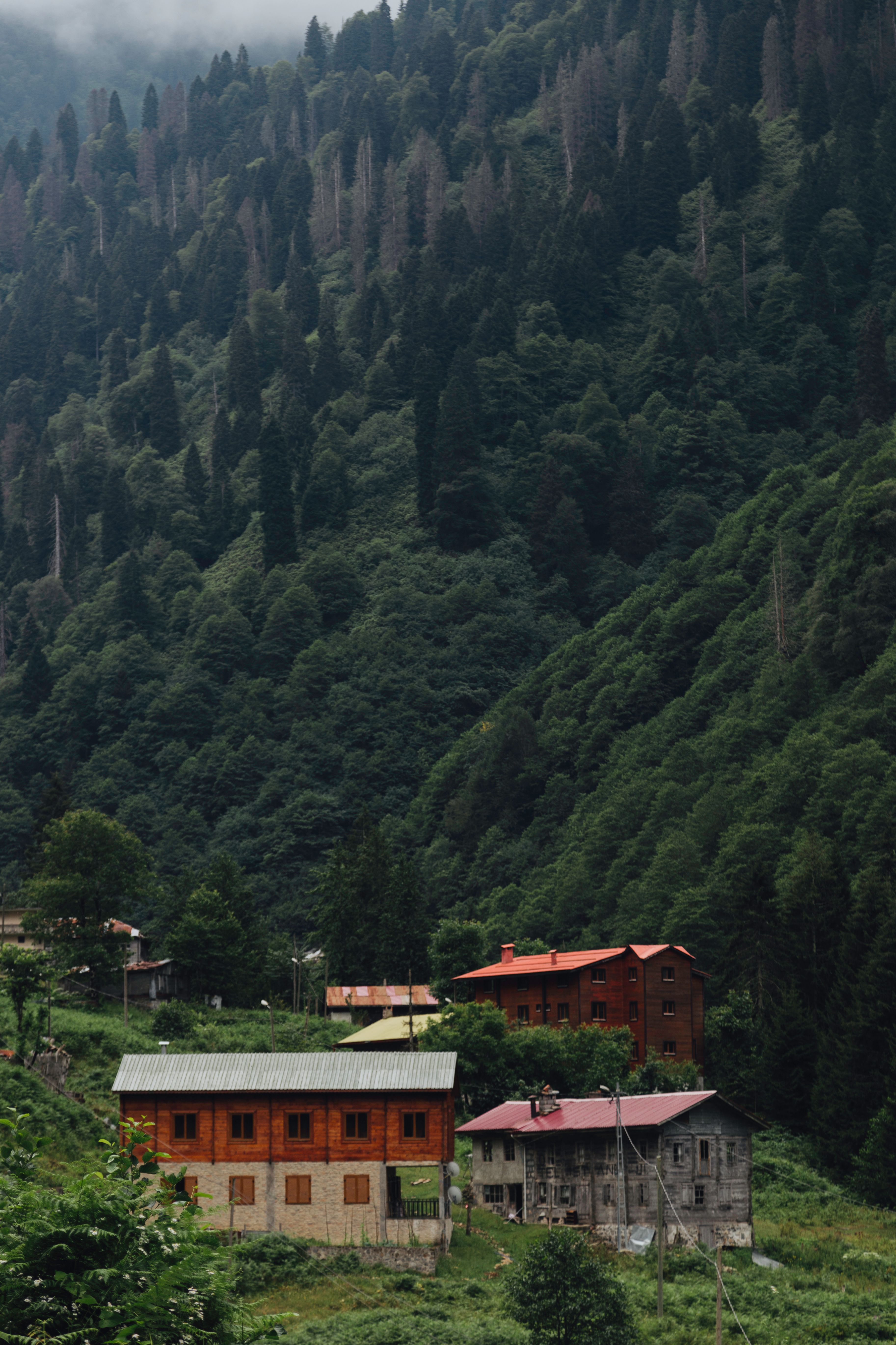 Explore scenic houses nestled among Rize's verdant mountain landscapes, capturing tranquility and nature.