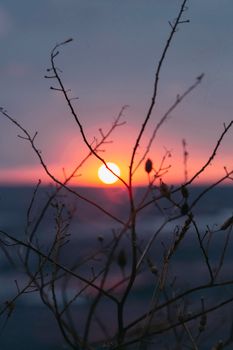Captivating sunset view with silhouette of bare branches against a colorful sky in Ordu, Turkey.