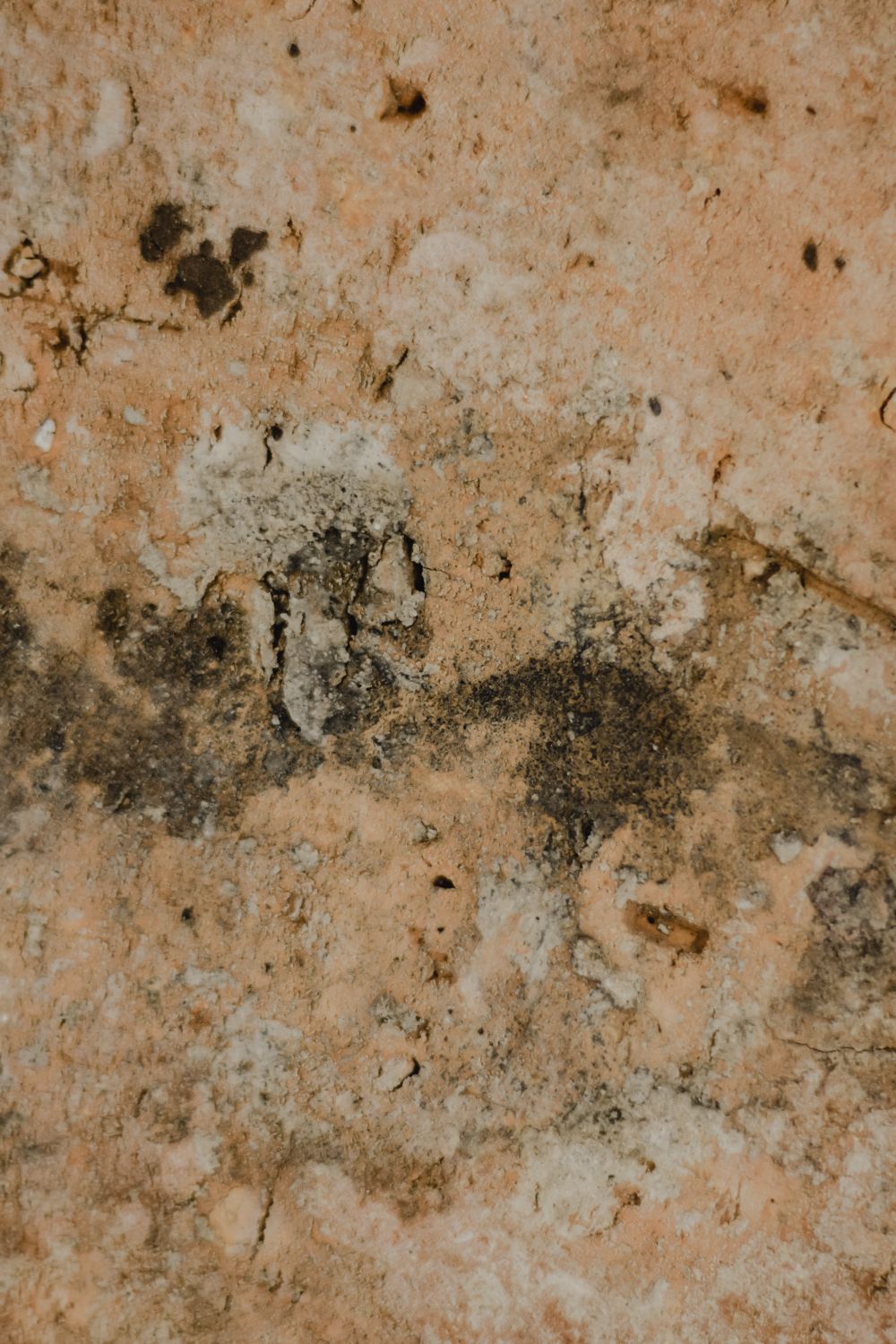 Parede com sinais de mofo e deterioração, representando exposição ambiental doméstica relevante para sintomas crônicos.