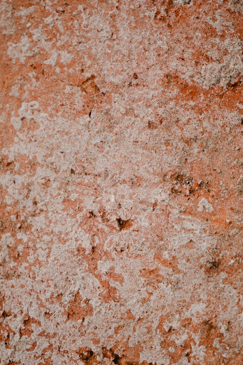 Darmowe zdjęcie z galerii z chropowaty, mur, mury