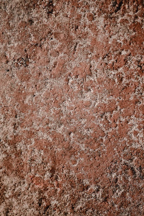 Close-up of a Stone Surface