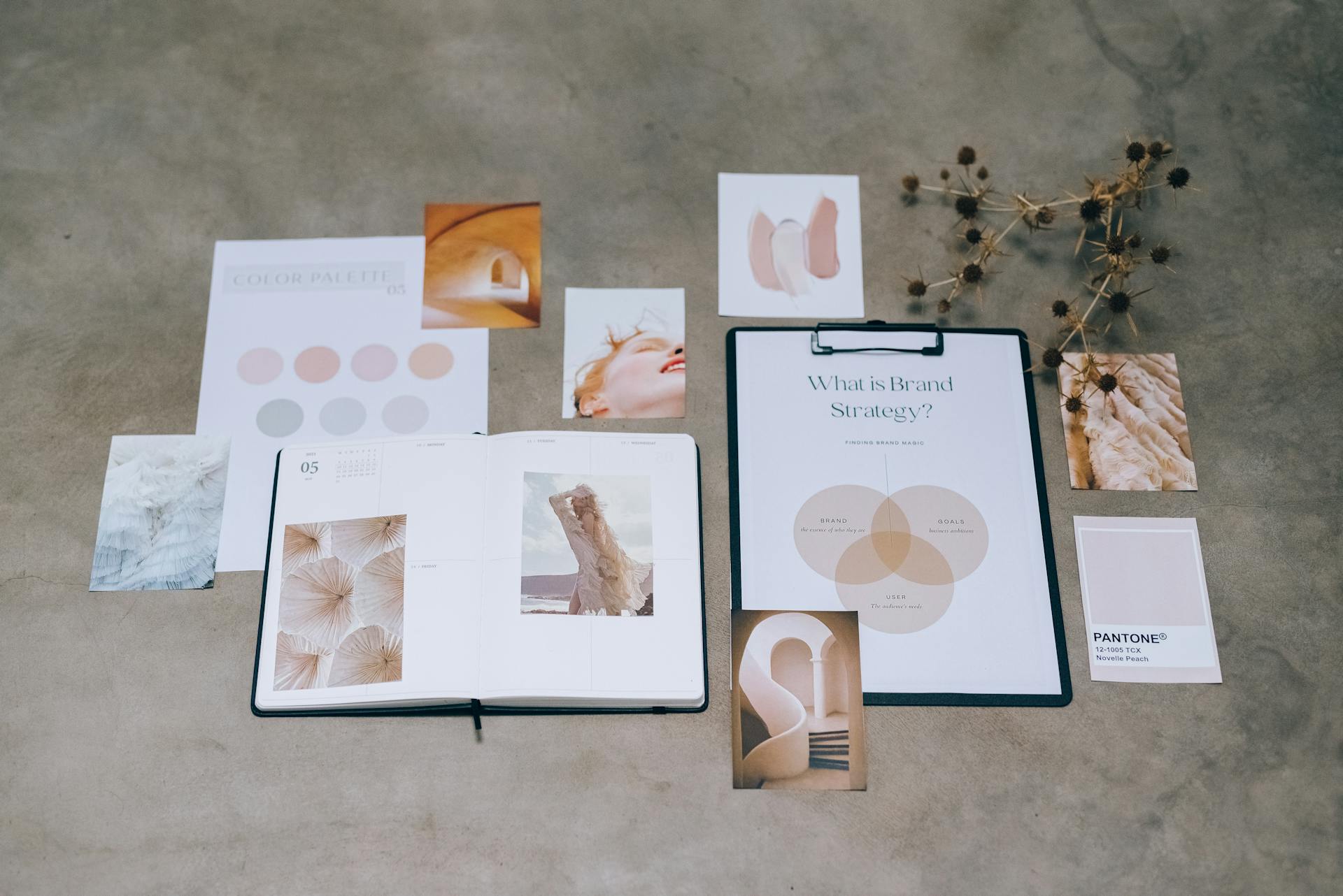 A flat lay of branding elements with color palettes and strategic planning documents on a concrete surface.