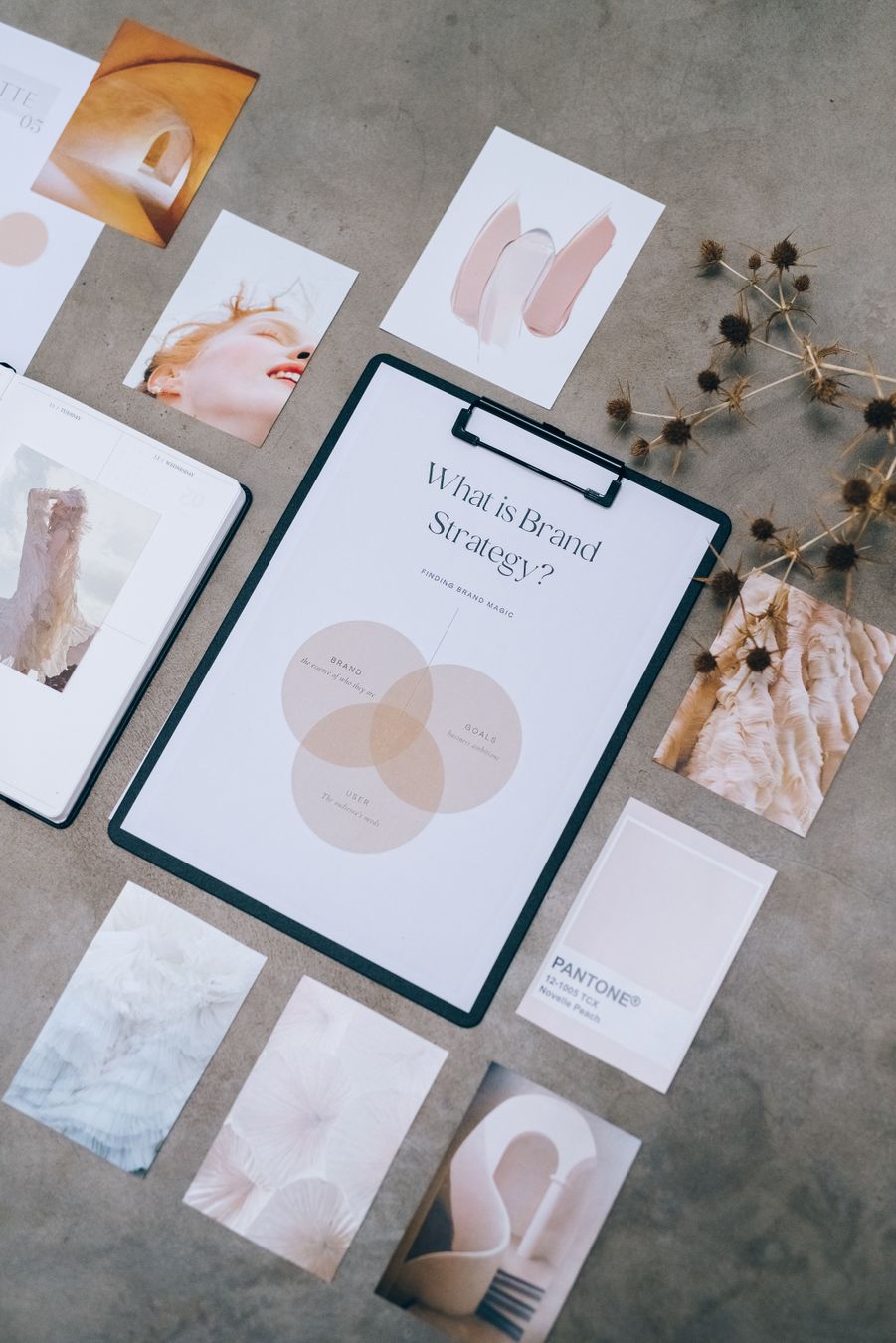 Why Trades Businesses Choose DogFish Design: Client Stories & Success 1 Aesthetic flat lay of branding and design documents on textured surface.
