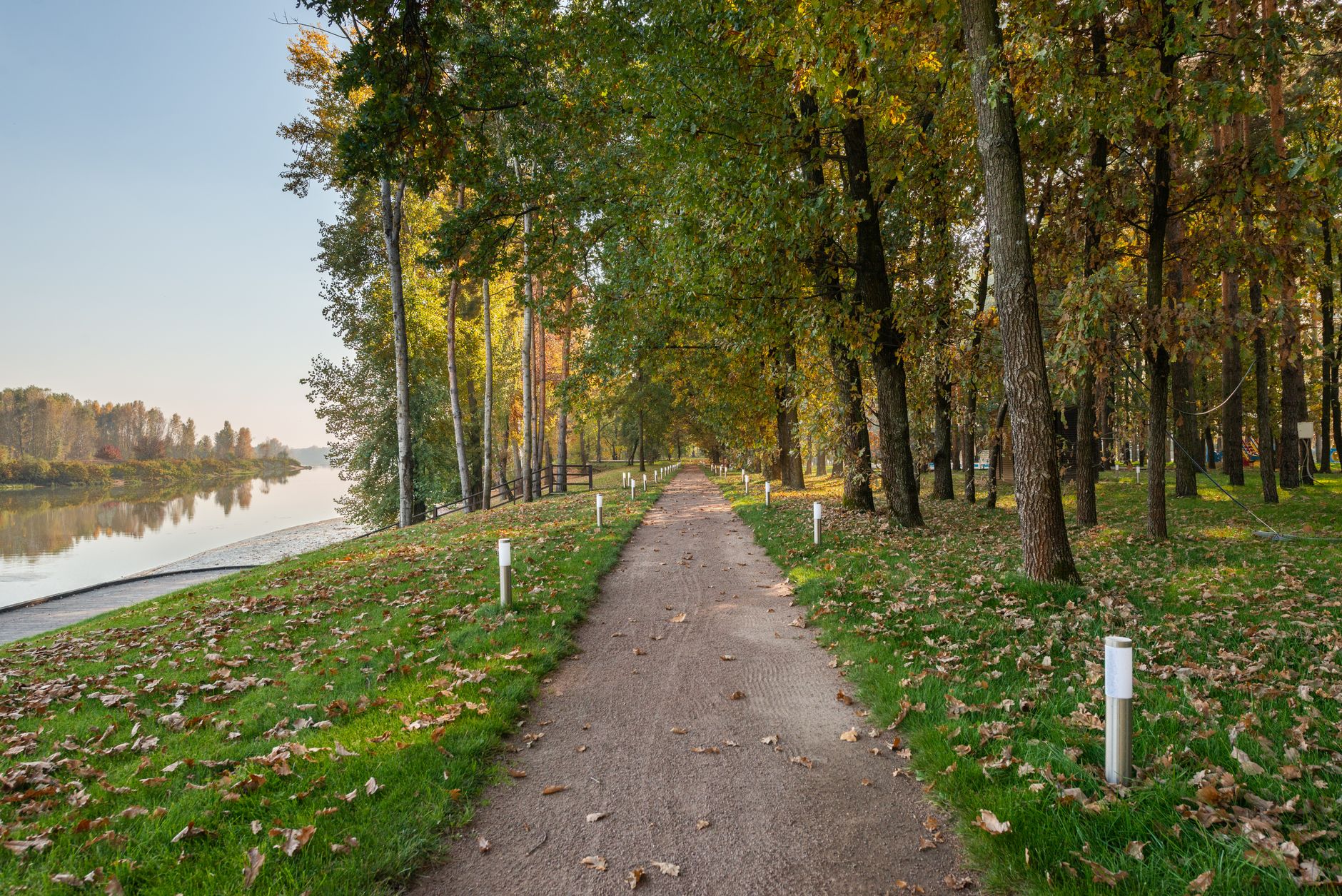 Wooded trail along the Red River in northern Robertson County