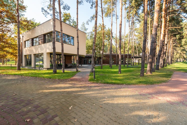 Contemporary House In A Forest 