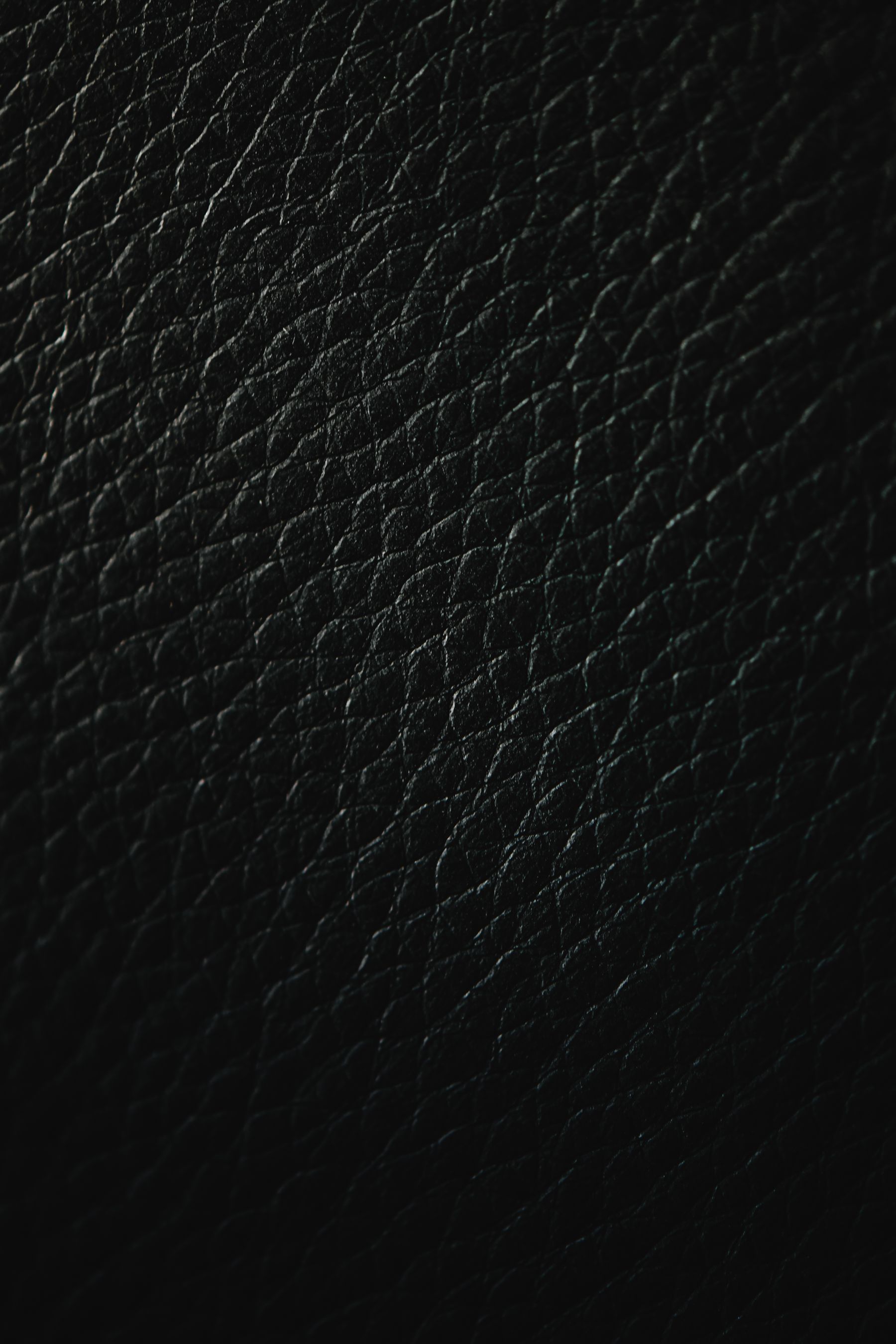 Leather collection