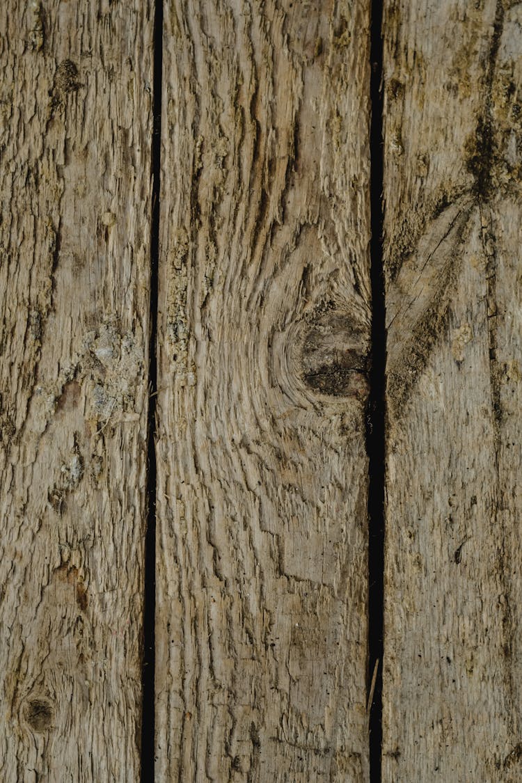 Close-Up Shot Of A Rustic Wood