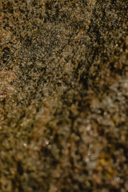 A Brown Rough Surface in Close-up Shot