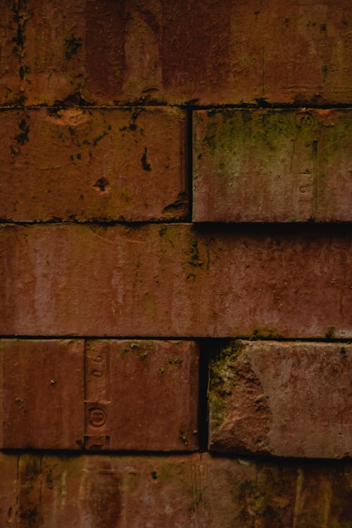 Close-Up Shot or Rustic Bricks