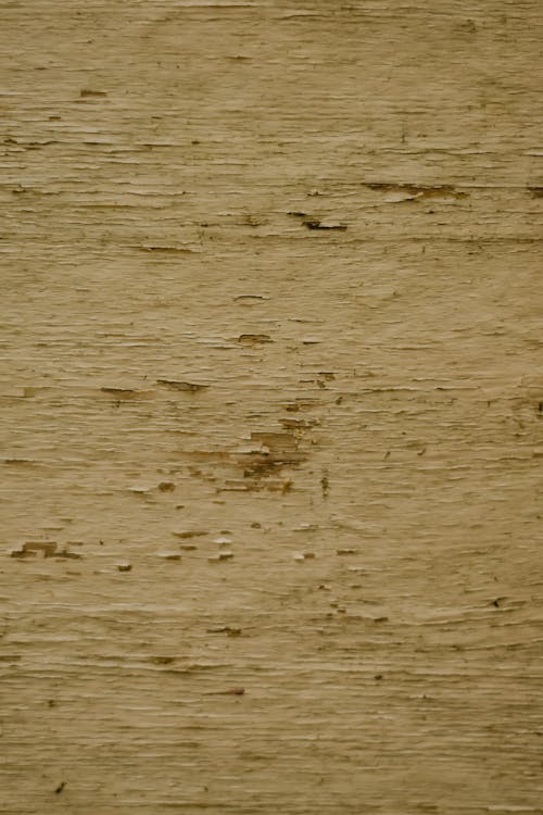 Free White Paint Peeling from Wooden Surface Stock Photo