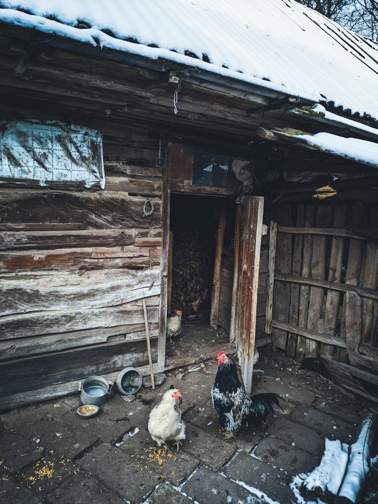 Snow Covered Roof Of A Barn