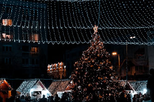 бесплатная Рождественская елка с украшениями в ночное время Стоковое фото