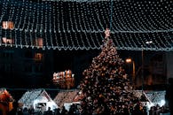 罗马尼亚的亚迪晚上有装饰精美的圣诞市场，市场里有一棵大型圣诞树和节日灯光