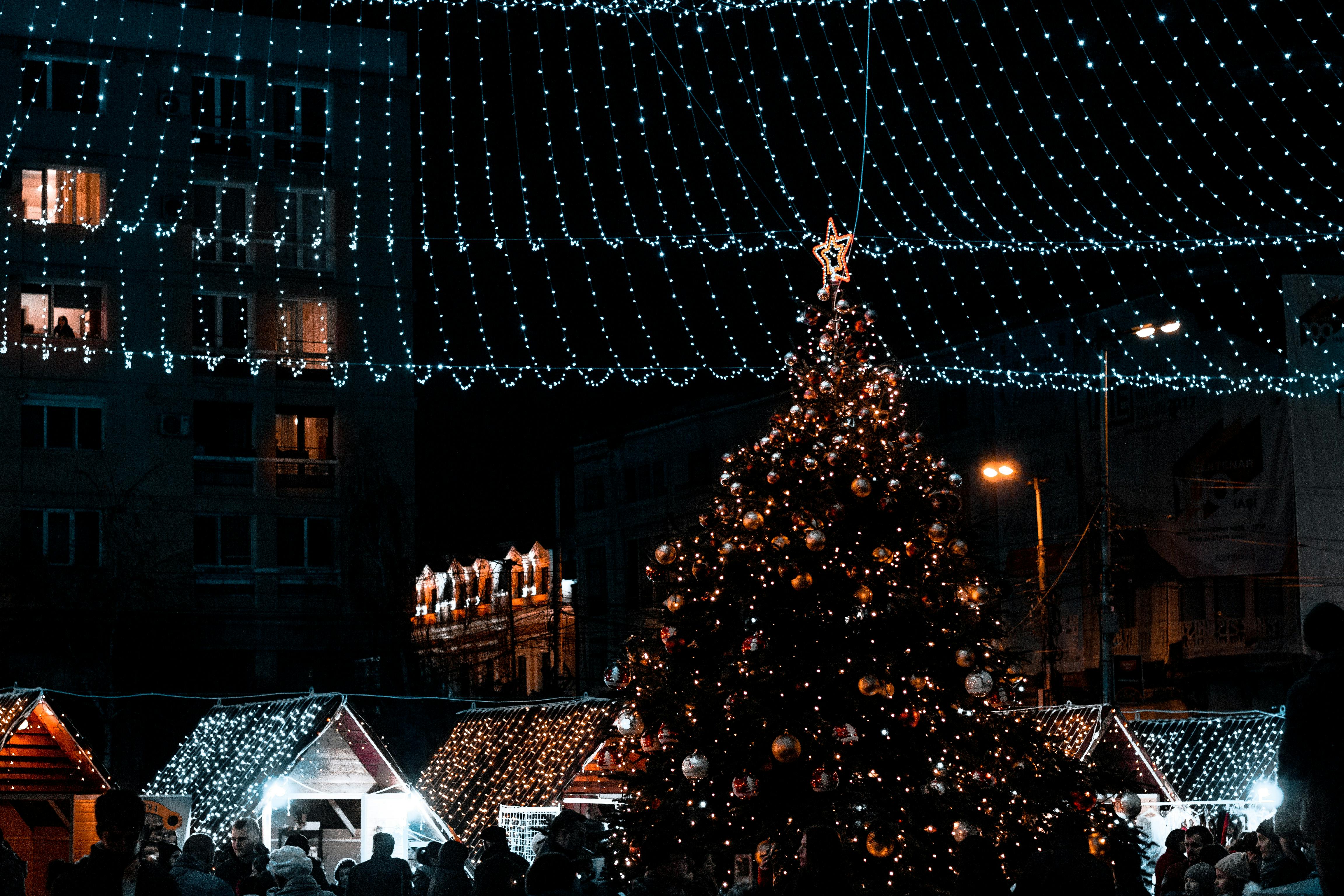 Christmas Lights Photos, Download The BEST Free Christmas Lights Stock  Photos & HD Images