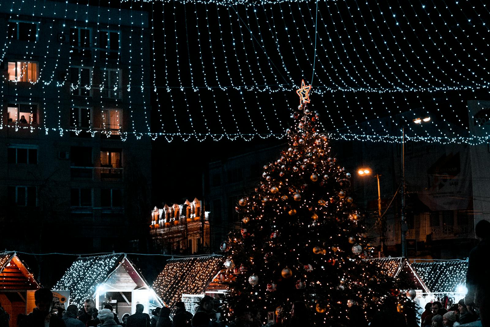 Top 6 Holiday Events In Halifax