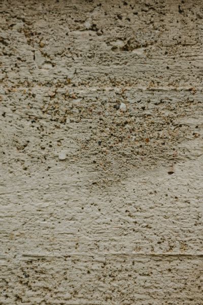 Textured plaster wall — photo by Eva Bronzini on Pexels