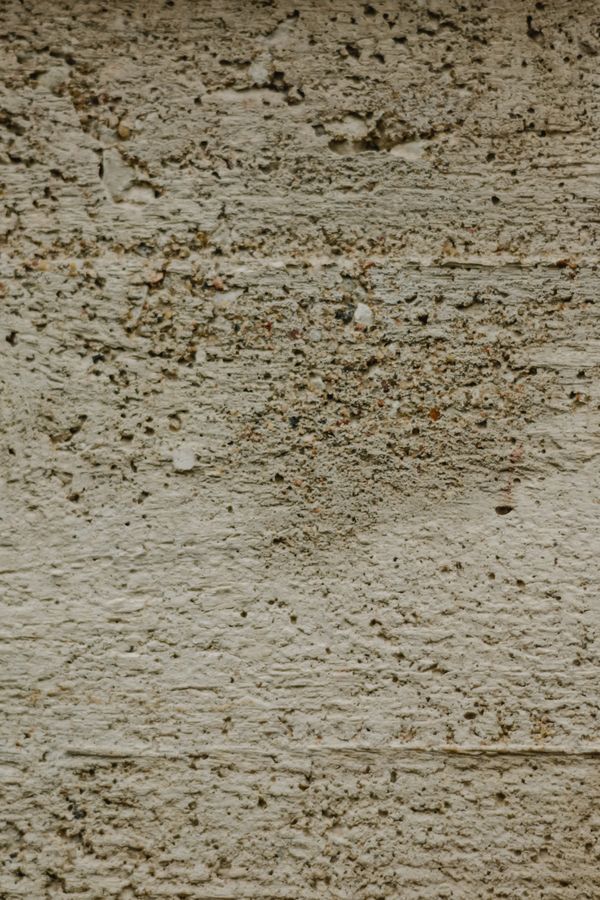 Soft beige plaster wall study — photo by Eva Bronzini on Pexels