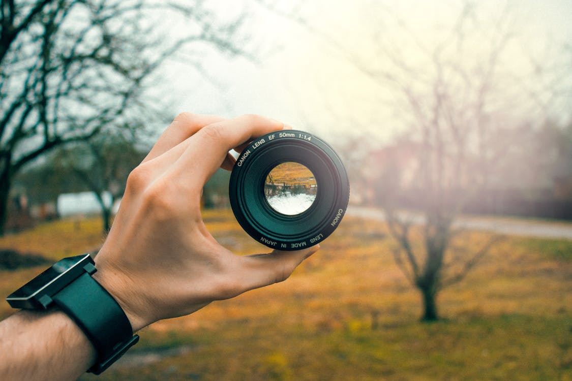 Gratis arkivbilde med 50 mm, canon, dybdeskarphet