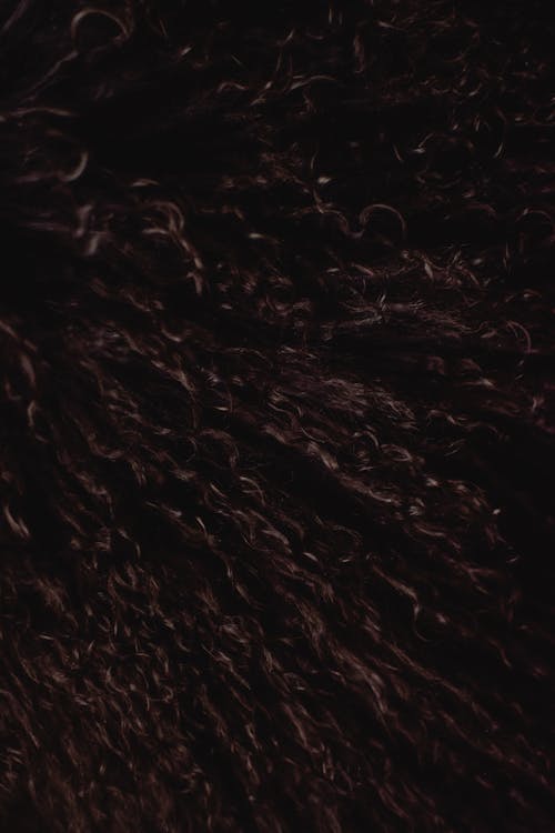 Free Close-up of Dark Curly Hair  Stock Photo