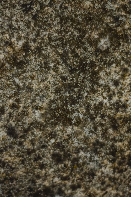 A Brown nd Black Rough Surface in Close-up Shot · Free Stock Photo