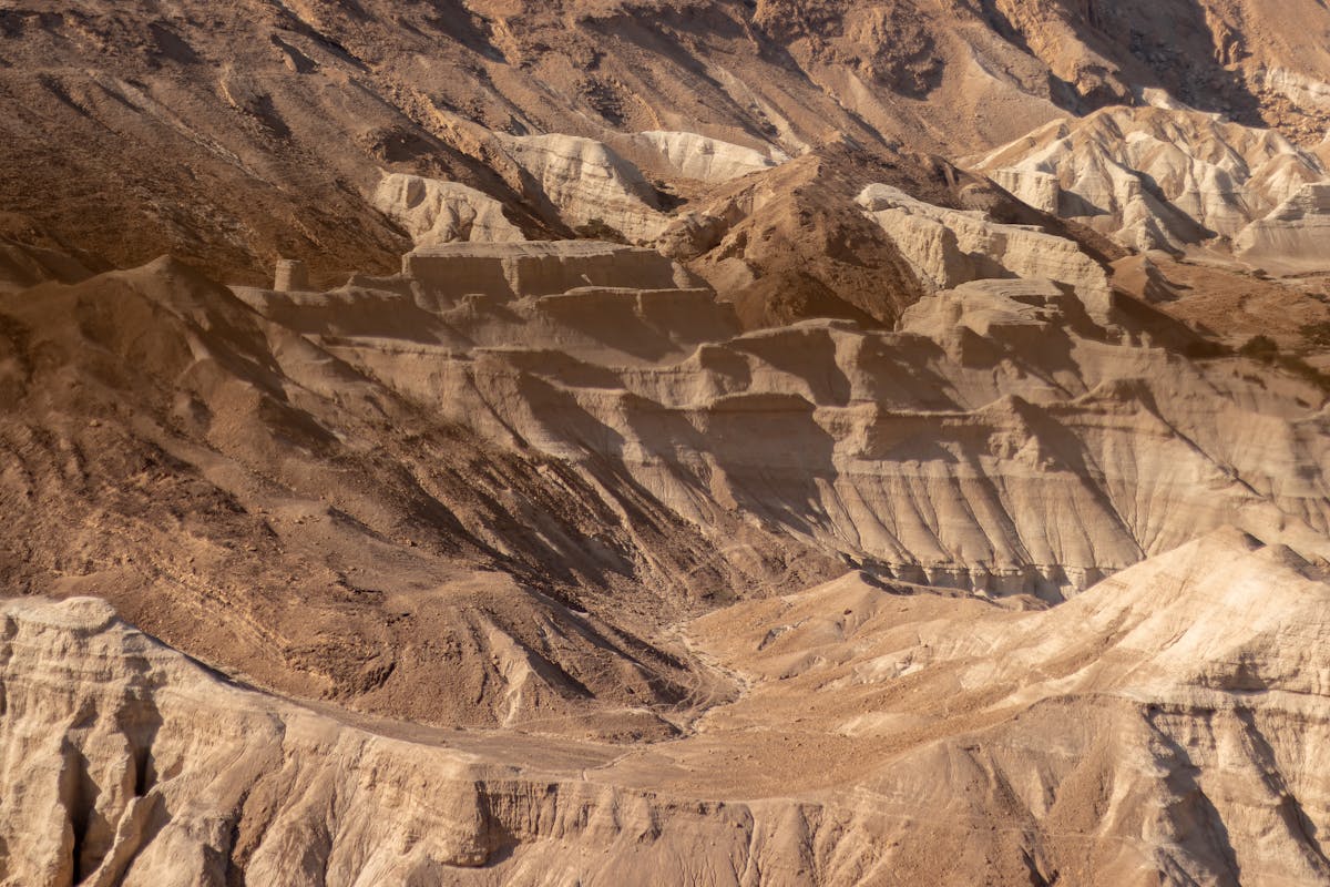 Stink Bug Invasion in Westchester & Rockland: How to Keep Them Out This Fall