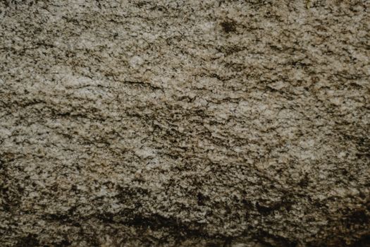 A Brown Rough Surface in Close-up Shot