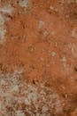 Close-Up Photo of a Rusty Surface