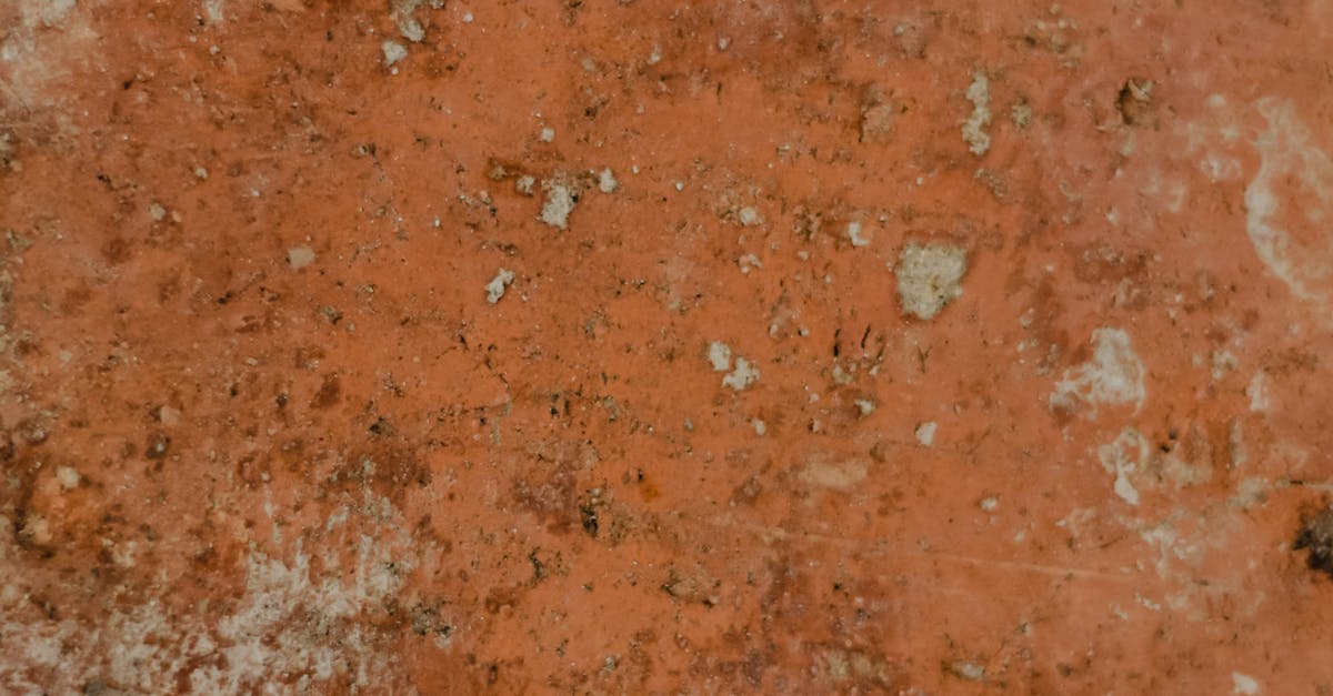 Close-Up Photo of a Rusty Surface · Free Stock Photo