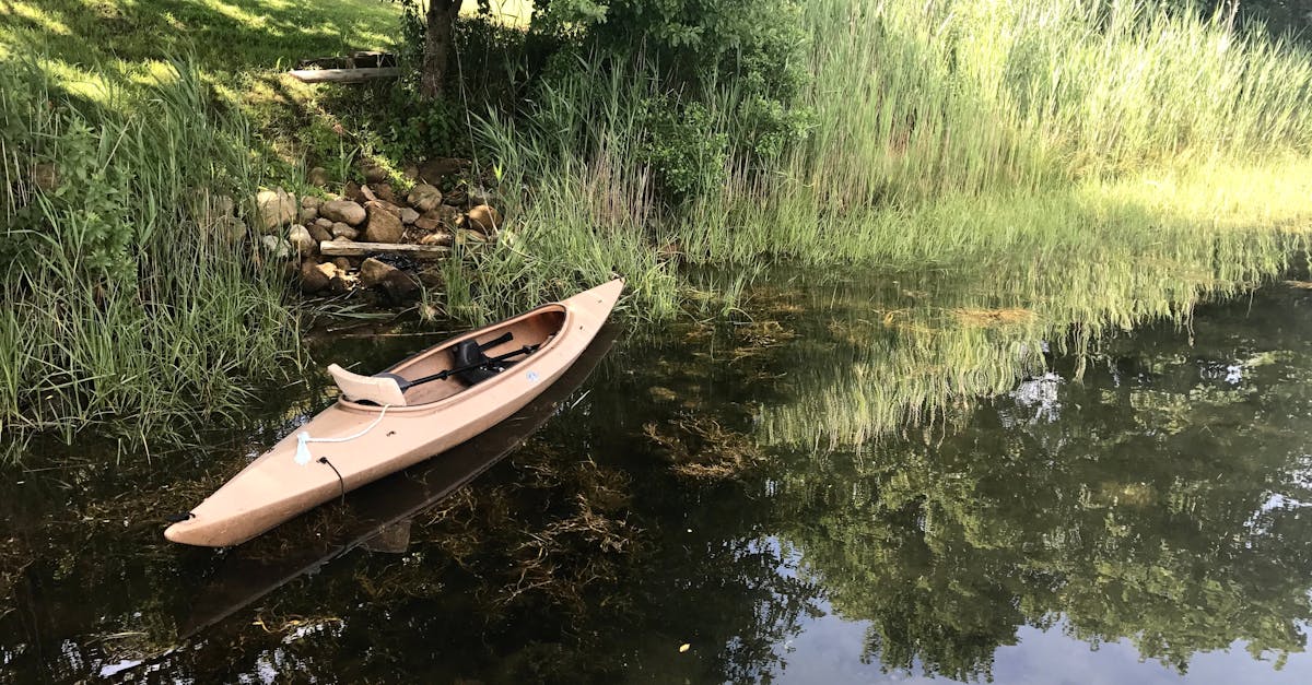 Free stock photo of bay, kayak, reflection