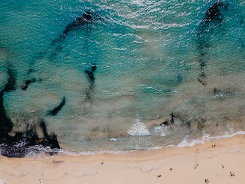 Immagine gratuita di bagnasciuga, fotografia aerea, mare