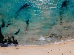 Sandy bay with clear water at Mellieha Malta
