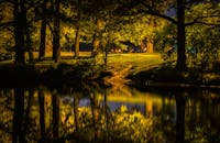 宁静的森林公园在夜间拍摄，海面反射着灯光，发出微光