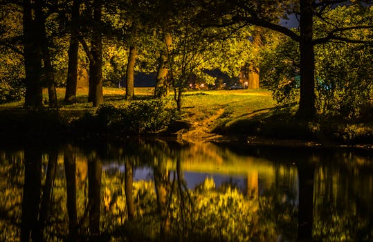 宁静的森林公园在夜间拍摄，海面反射着灯光，发出微光