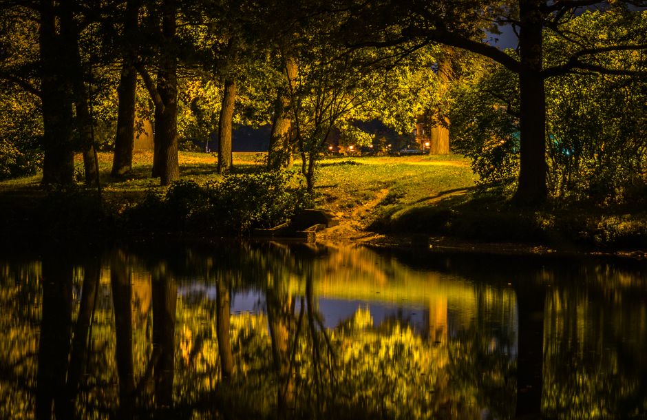 Tranquil forest park scene captured at night with reflective waters and glowing lights.