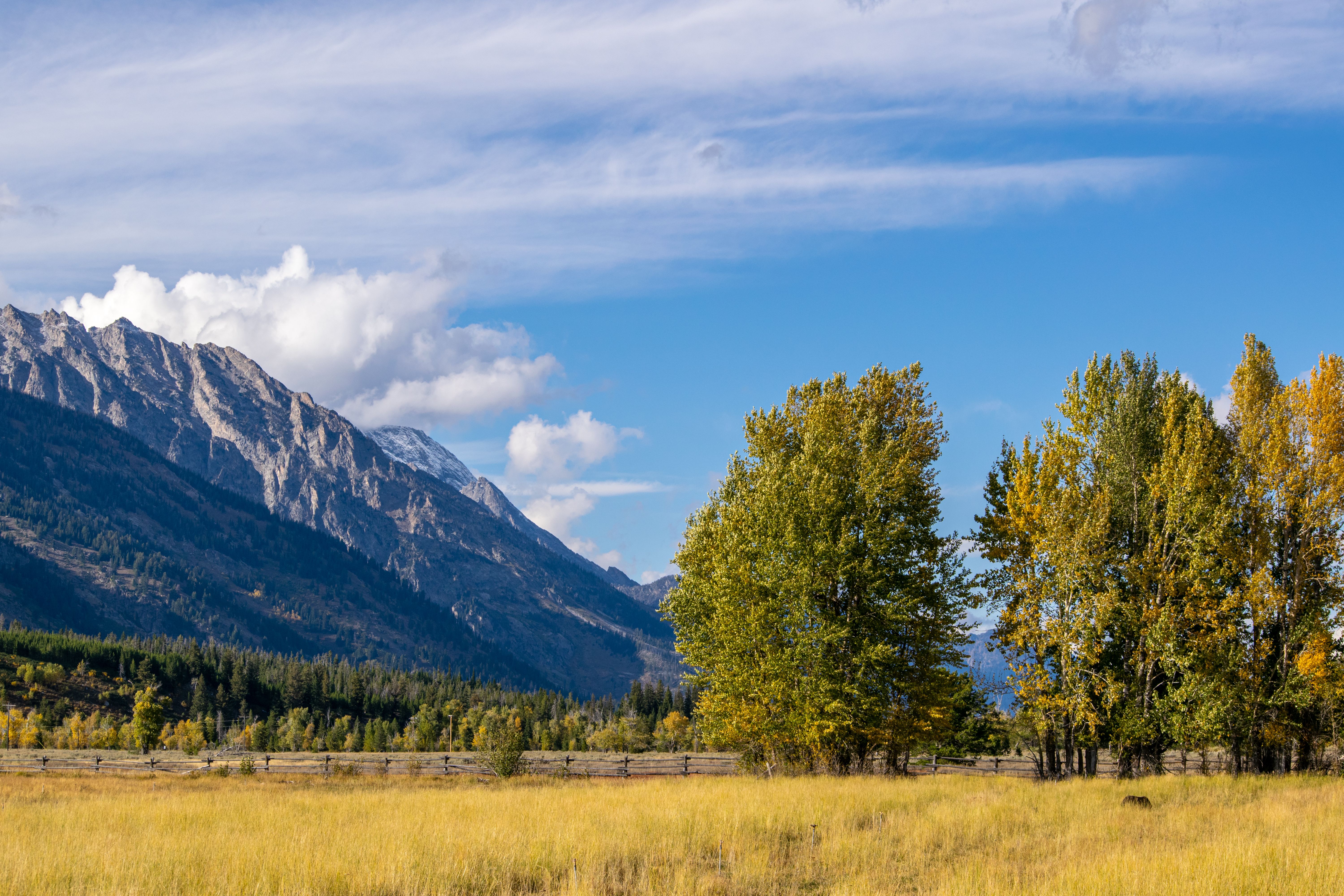 Scenery with a Field, Trees and a Mountain · Free Stock Photo