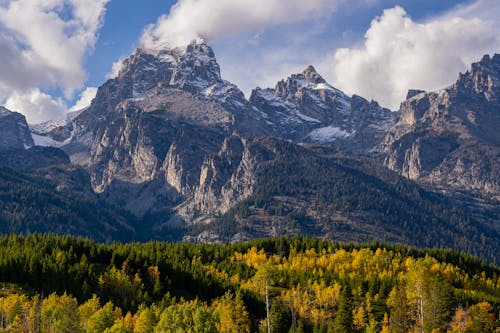 A Green Trees Near the Mountains Under the Cloudy Sky