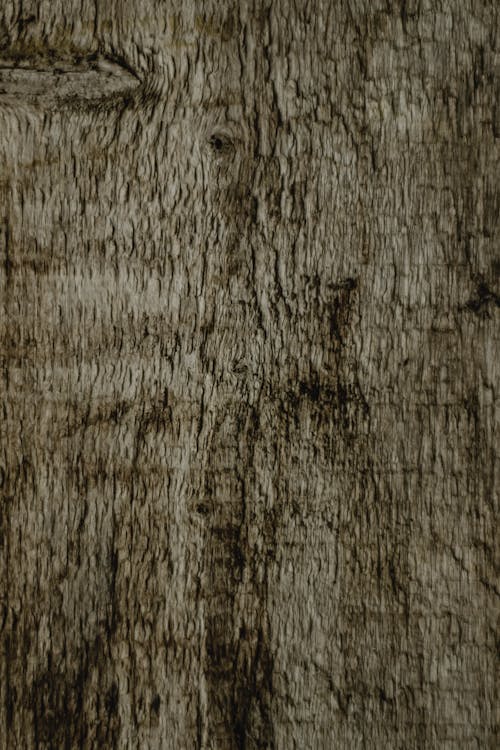 A Brown Rough Wooden Surface