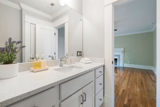 Stylish bathroom vanity featuring a mirror, sink, and plant with wooden floors visible in an adjoining room.