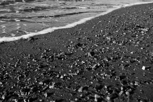 Základová fotografie zdarma na téma na pláži, písečná pláž, povrchní