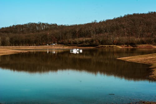 Free stock photo of lake, mirror, nature
