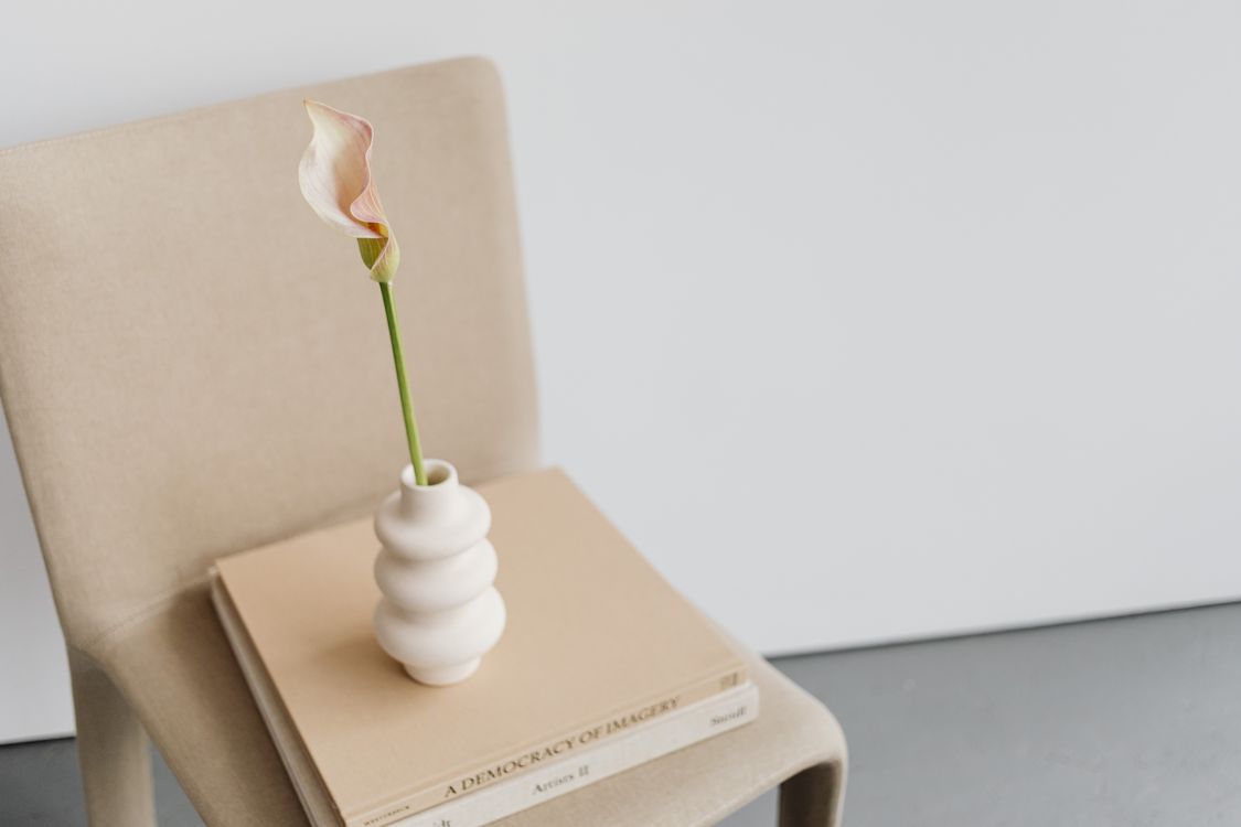 Single white bloom in a ceramic vase