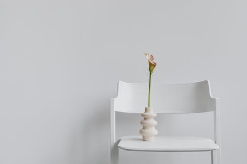 A Calla Lily in a Vase