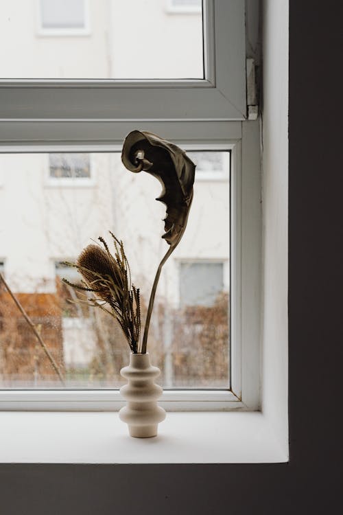 Decorative Dried Plants in a Vase