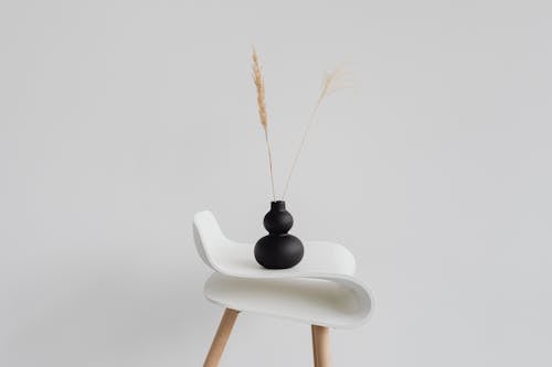 Free Grain Ears in Black Vase on Chair Stock Photo