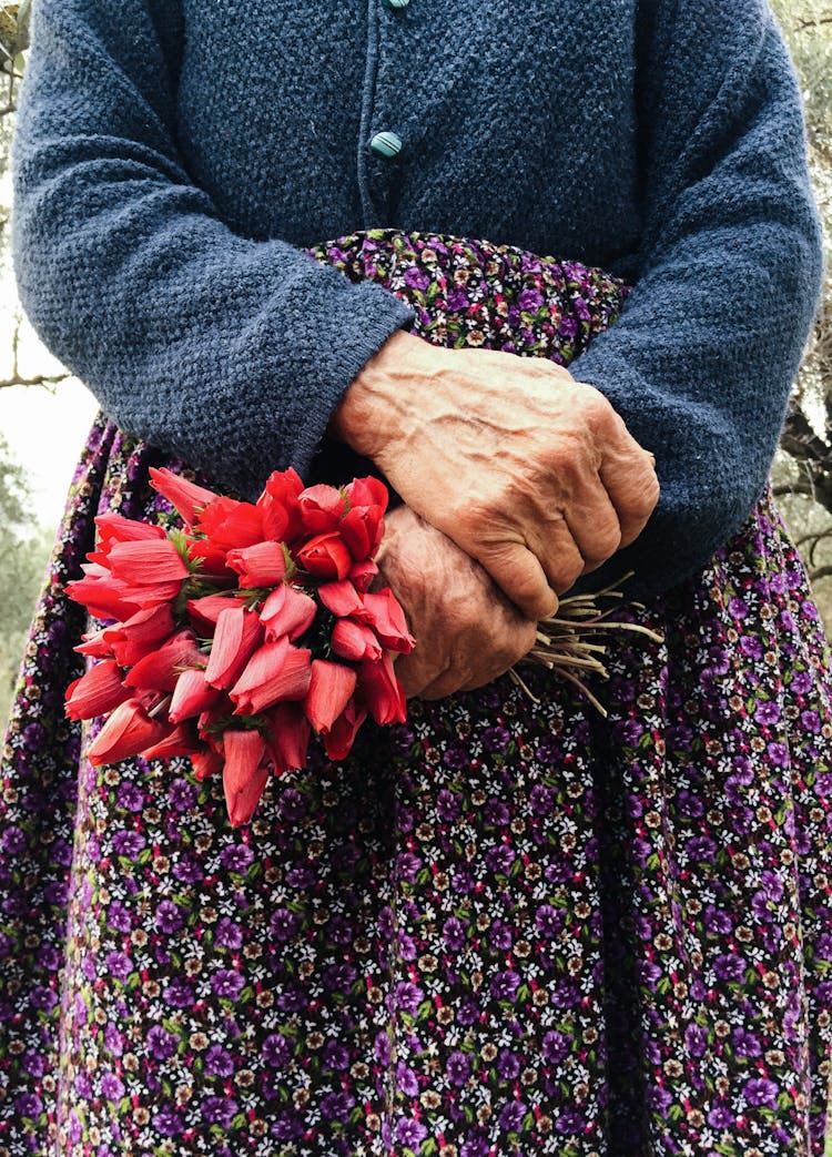 Crop Senior Woman With Red Tulips