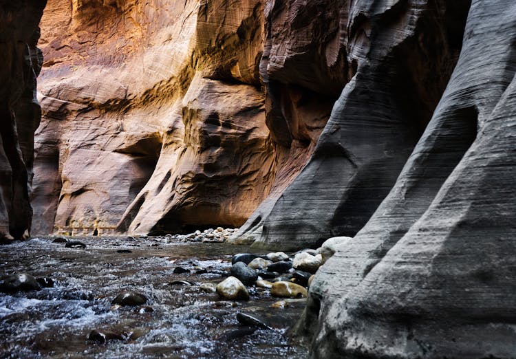 The Narrows In Zion National Park