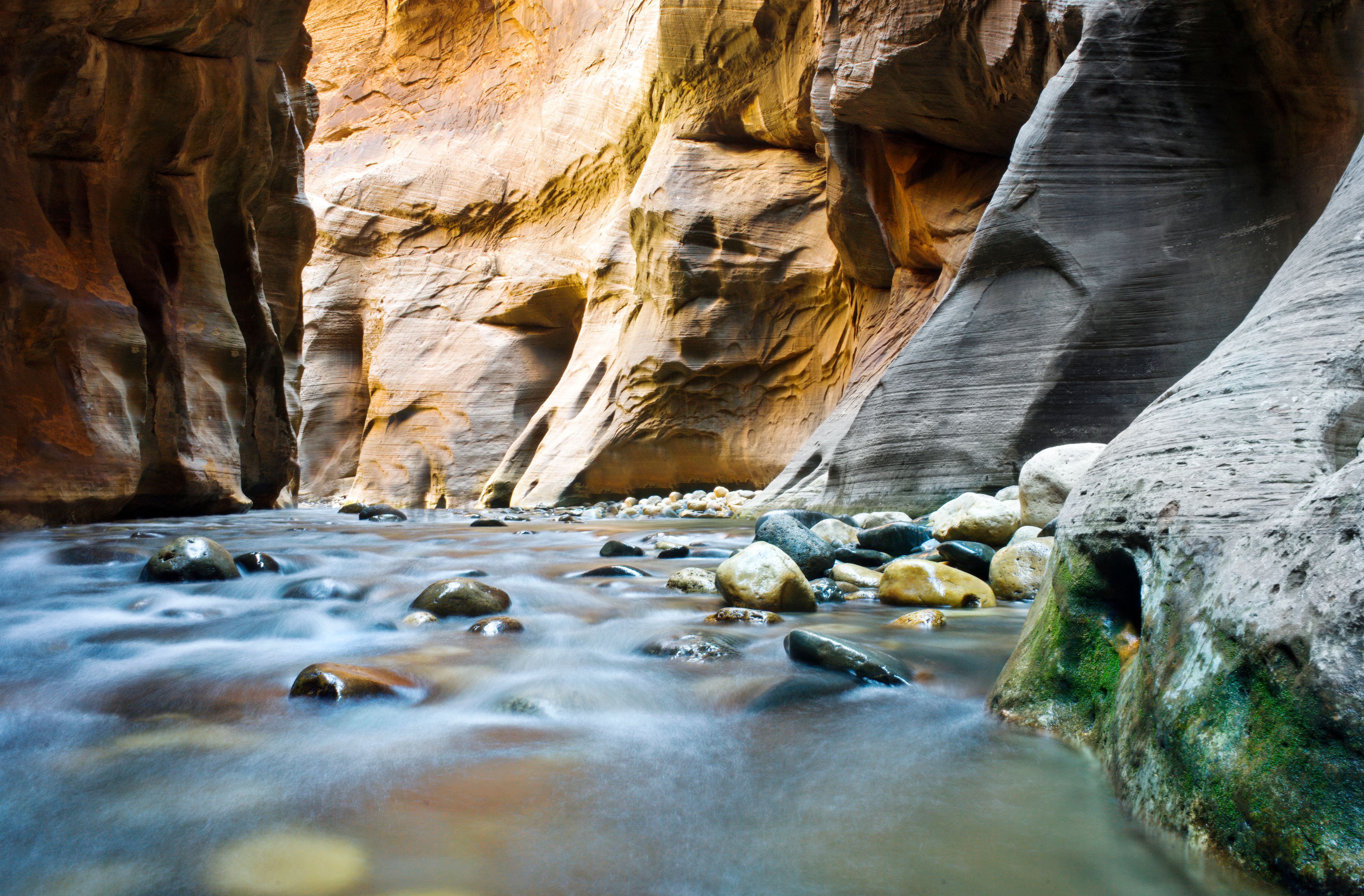 The full sweep of the Narrows canyon, sandstone walls, river, and a strip of Utah sky above